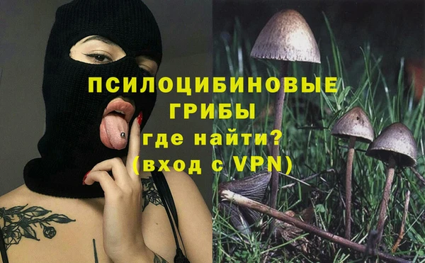 гидра Зеленокумск