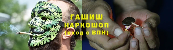 гидра Зеленокумск
