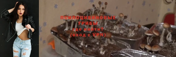 гидра Зеленокумск