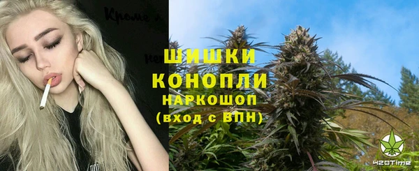 гидра Зеленокумск