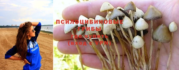 apvp Зерноград