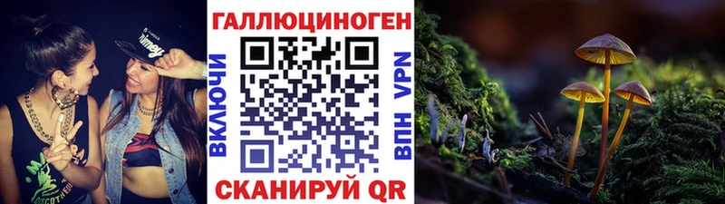 Галлюциногенные грибы Cubensis Купить где Кохма